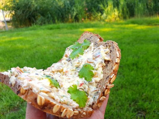 Грибне масло: таке можна скуштувати тільки в ресторані