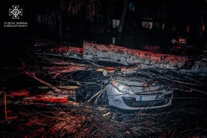 Более 50 упавших деревьев: к каким последствиям привела непогода в Одессе