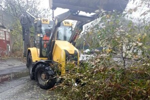 Более 50 упавших деревьев: к каким последствиям привела непогода в Одессе