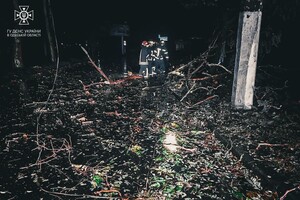 Более 50 упавших деревьев: к каким последствиям привела непогода в Одессе