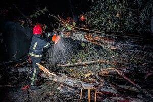 Более 50 упавших деревьев: к каким последствиям привела непогода в Одессе