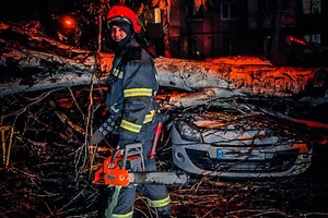 Более 50 упавших деревьев: к каким последствиям привела непогода в Одессе