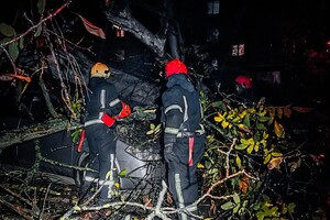 Более 50 упавших деревьев: к каким последствиям привела непогода в Одессе