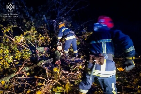 Более 50 упавших деревьев: к каким последствиям привела непогода в Одессе