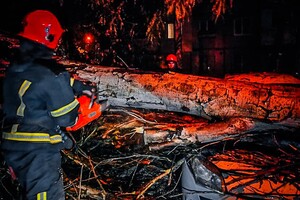 Более 50 упавших деревьев: к каким последствиям привела непогода в Одессе