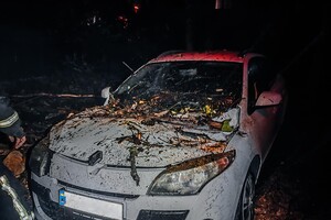 Более 50 упавших деревьев: к каким последствиям привела непогода в Одессе