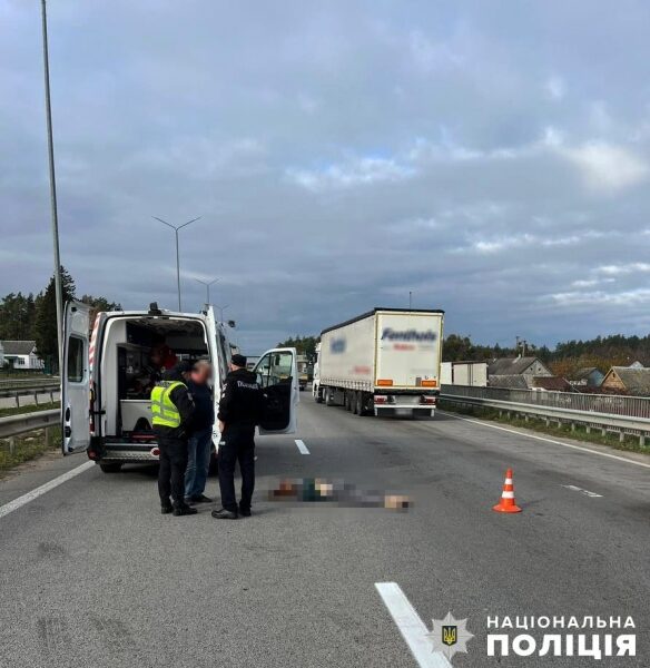 Народний депутат Ніколаєнко потрапив у&nbsp;смертельну ДТП на&nbsp;Житомирщині,&nbsp;&mdash; ЗМІ (фото)