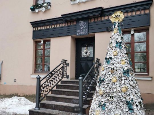 Щось неймовірне: у Вільнюсі з’явилася ялинка, яка може потрапити до Книги рекордів Гіннесса