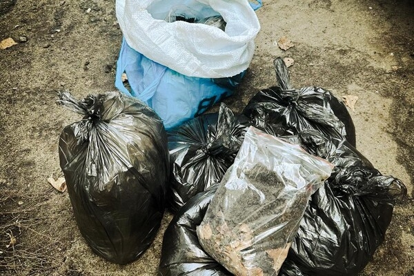 В Одессе химики собрали 30 килограмм грунта, загрязненного ртутью