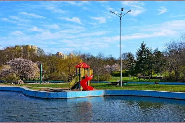 В парке Победы в Одессе цветут деревья (фото)