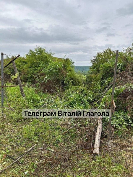 Невідомі вантажівкою з військовими номерами прорвали українсько-угорський кордон: десятки затриманих (фото)