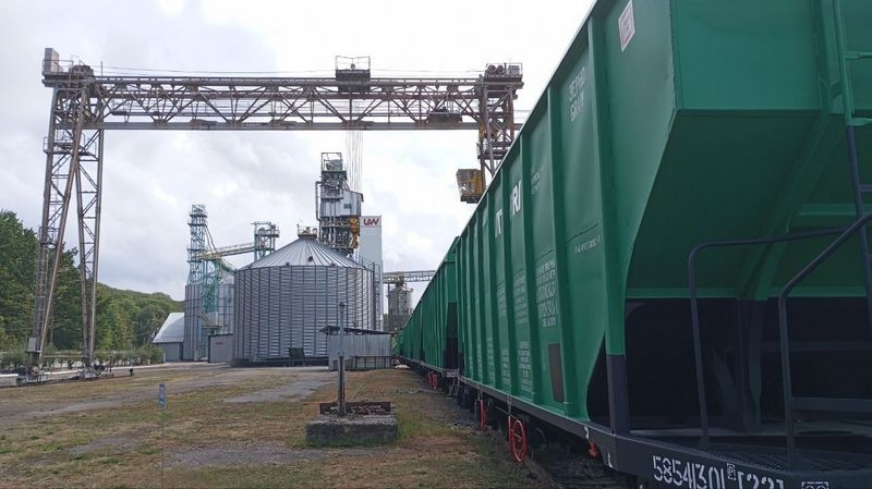 «Ми віримо в силу взаємодії»: світовий агротрейдер Viterra придбав під час війни елеватор на Вінниччині