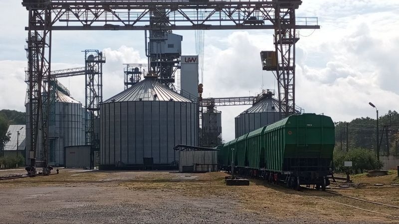 «Ми віримо в силу взаємодії»: світовий агротрейдер Viterra придбав під час війни елеватор на Вінниччині