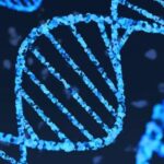 Google DeepMind расшифровывает рецепт жизни, записанный в ДНК
