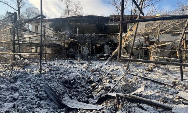 Росіяни скинули авіабомбу на&nbsp;екопарк під Харковом: частина тварин загинула (фото)