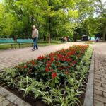 В Одессе на озеленение клумб планируют потратить более 815 тысяч гривен