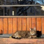 Первые дни апреля: какая погода будет в Одессе в эти выходные