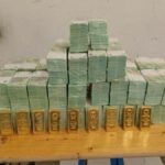 «Підробляли документи в туалеті»: Угорщина вигадала нові звинувачення українським інкасаторам