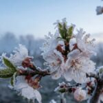 С майскими заморозками: какая погода будет в Одессе в эти выходные