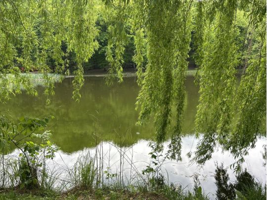 В Україну місцями нагрянуть сильні зливи, але стане тепліше: що кажуть синоптики про погоду на тижні 18 — 24 травня